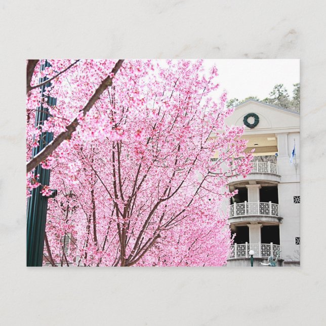 Hett Vår vykort (Framsida)