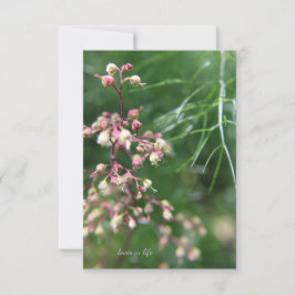 Heuchera Flower Anteckningskort