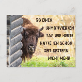 Heute tunna ich tierisch unmotiviert! vykort