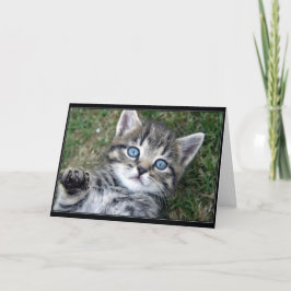 "Hewwo" kattunge Kort