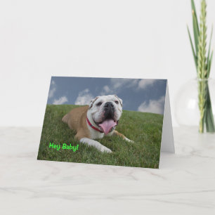 Hey baby!  Bulldoggfödelsedagkort Kort