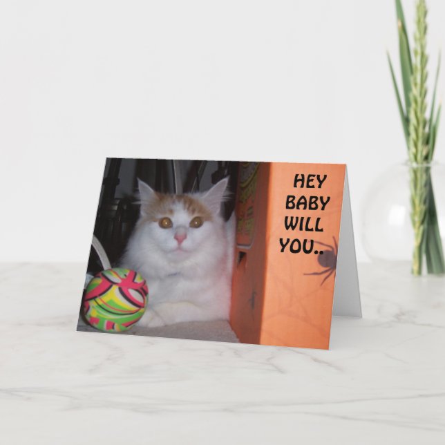 HEY BABY, SKA DU VARA MIN VALENTINE SAYS KITTEN? HELGKORT (Framsida)