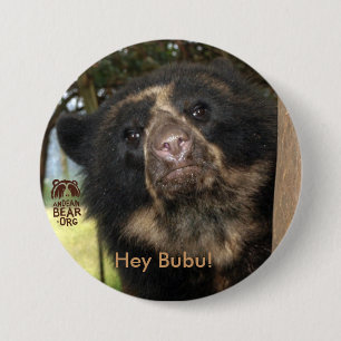 Hey Bubu! Knapp