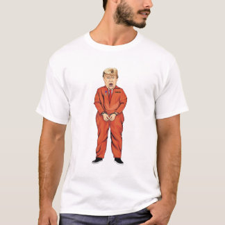 Hey Donald T Shirt