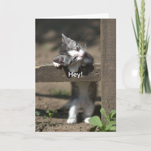HEY-GET WELL CARD TACK KORT (Framsida)