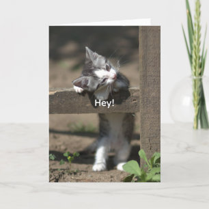 HEY-GET WELL CARD TACK KORT