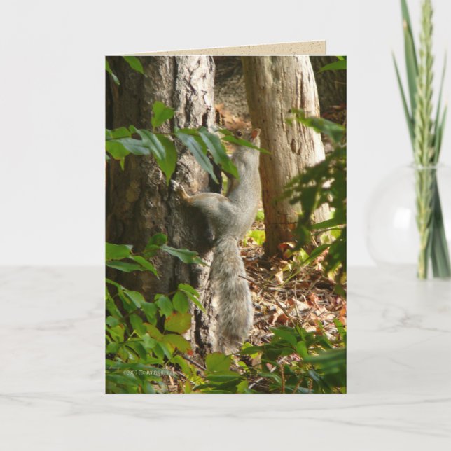 Hey I-förmiddag Hydin Kort (Framsida)