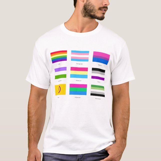 HGBTQIA Pride 9 x FLAGGOR Chic för ökad medvetenhe T Shirt (Framsida)