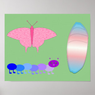 HGBTQIA Transgender Pride Caterpelare to Butterfly Poster