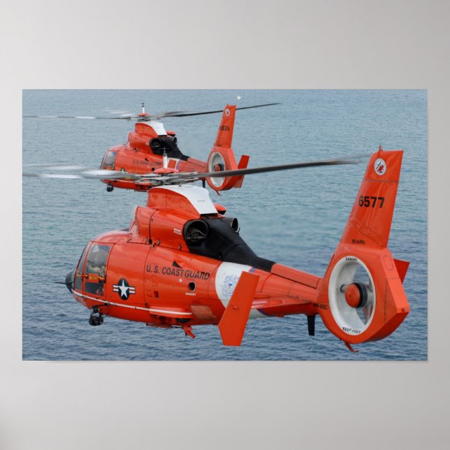 HH-65-delfin Poster (Framsidan)