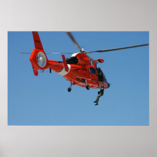 HH-65-delfin Poster