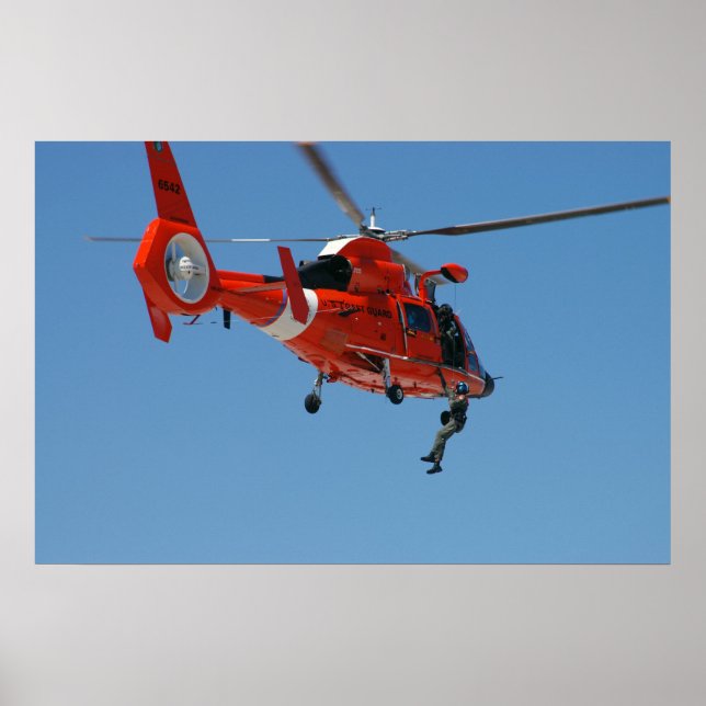 HH-65-delfin Poster (Framsidan)