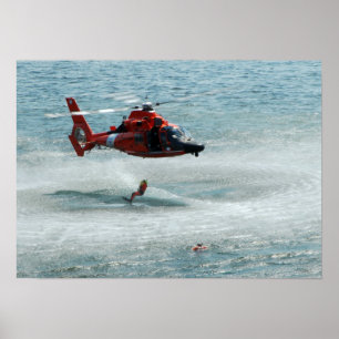HH-65-delfin Poster
