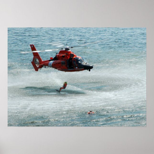 HH-65-delfin Poster (Framsidan)
