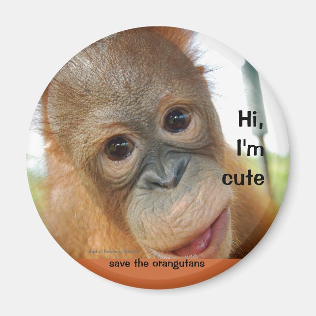 Hi Cute Baby Orangutan Magnet (Framsidan)