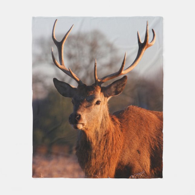 HI DEER FLEECEFILT (Framsidan)