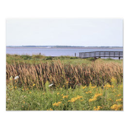 hi def-fotografi, hav, bro, vild blommor fototryck