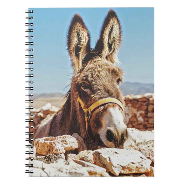HI DONKEY ANTECKNINGSBOK (Framsidan)