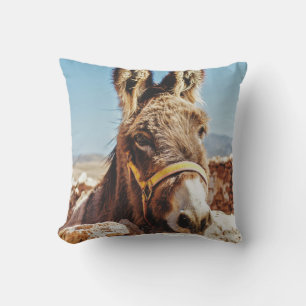 HI DONKEY KUDDE