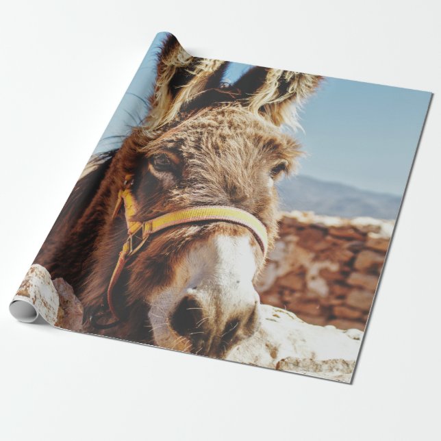 HI DONKEY PRESENTPAPPER (Utrullad)