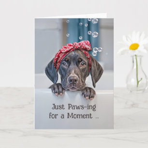 Hi Hej Cute German Shorthair Pointer in a Bath Kort