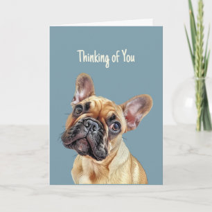 Hi Hej Thinking of You Cute Fransk Bulldog Hund Kort