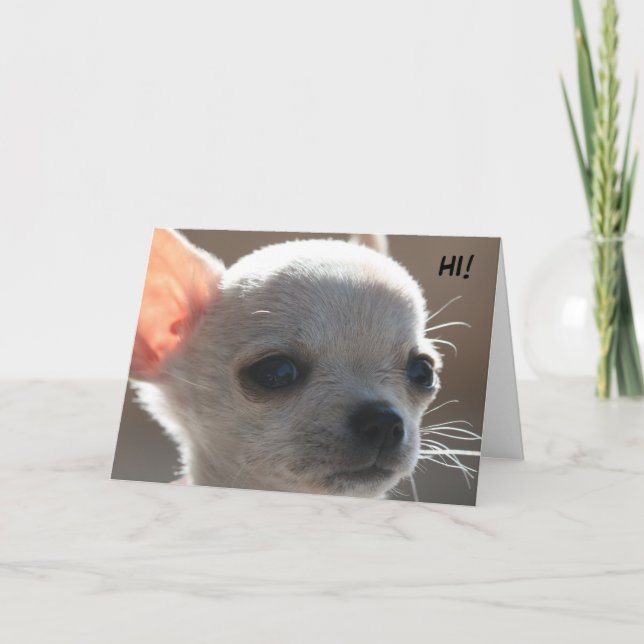 HI! HELGKORT (Framsida)