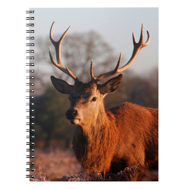HI HJORT ANTECKNINGSBOK (Framsidan)