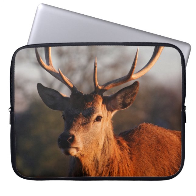 HI HJORT LAPTOP FODRAL (Framsidan)
