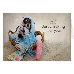 HI! - HUMOR - HUND TILLTRASSLAD I GARN HÄLSNINGSKORT