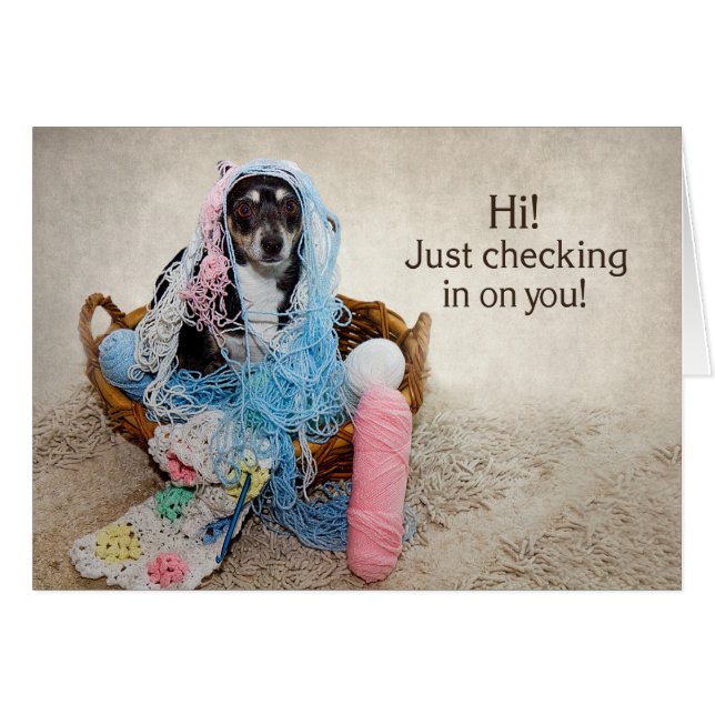 HI! - HUMOR - HUND TILLTRASSLAD I GARN HÄLSNINGSKORT (Framsidan Horizontal)