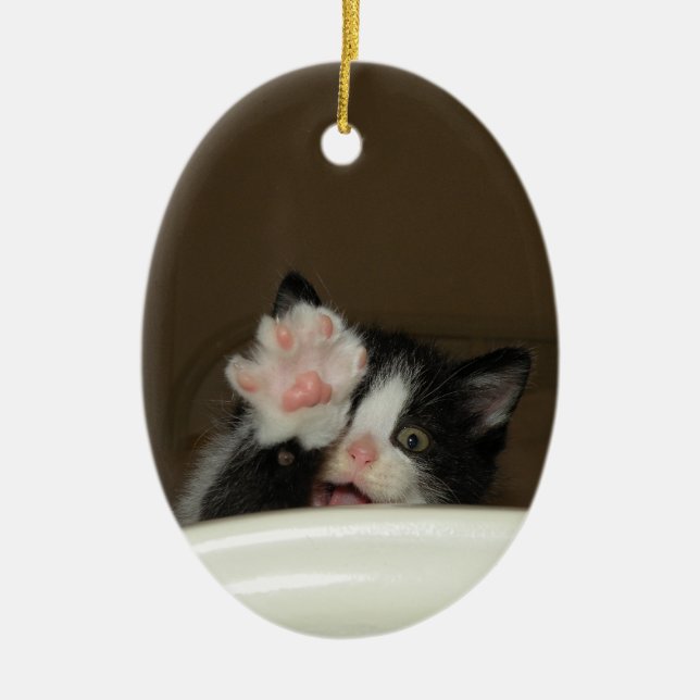 "Hi Kitten" Ornament (Framsidan)