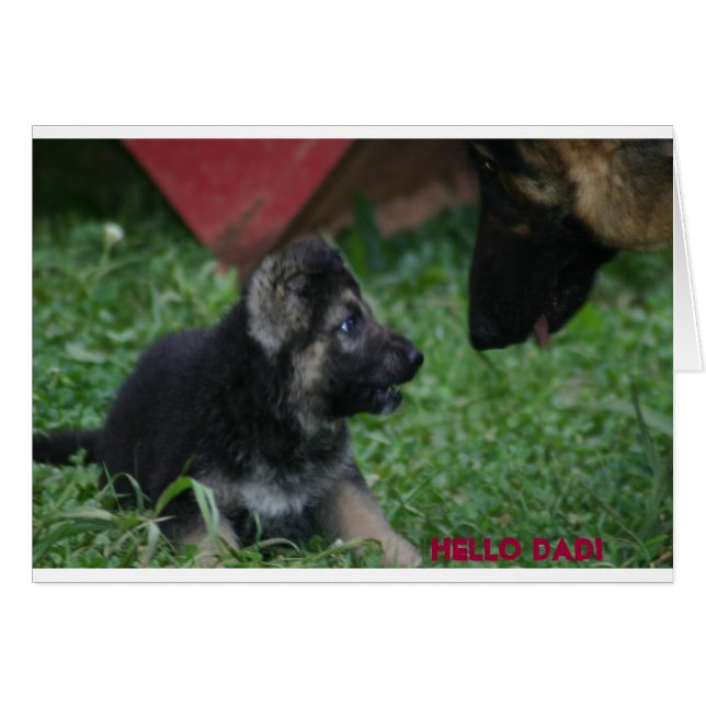 Hi PAPPA Hälsningskort (Framsidan Horizontal)