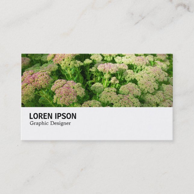 Hi-Phi - 0244 - Sedum "Autumn Joy" Visitkort (Framsida)