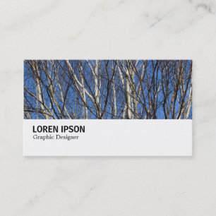 Hi-Phi - 0279 - Silver Birch Grenar Visitkort