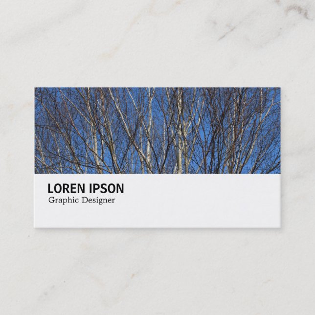 Hi-Phi - 0280 - Silver Birch Grenar Visitkort (Framsida)