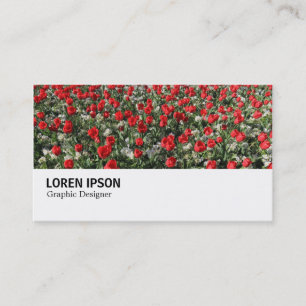 Hi-Phi - 0292 - Red Tulips and Primroses Visitkort