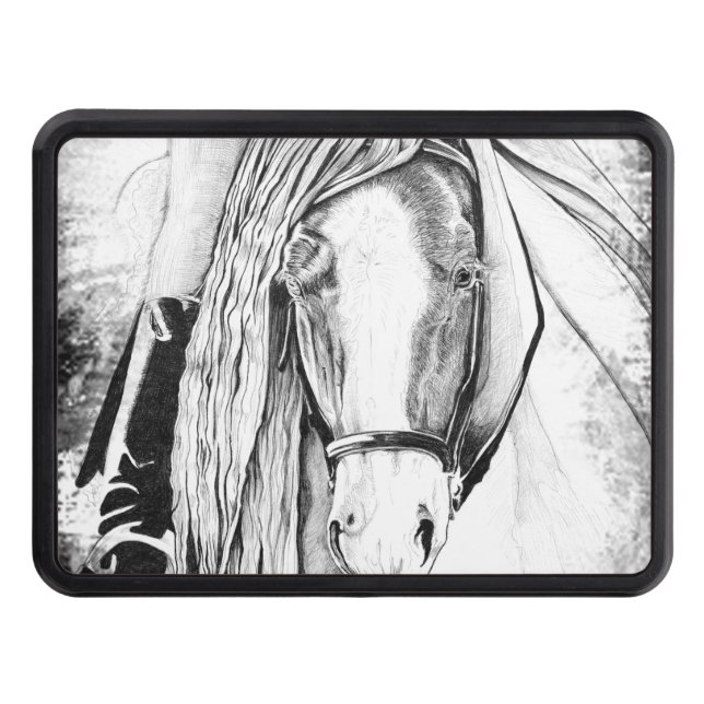 Hi-Point Skydd För Dragkrok (Framsidan)