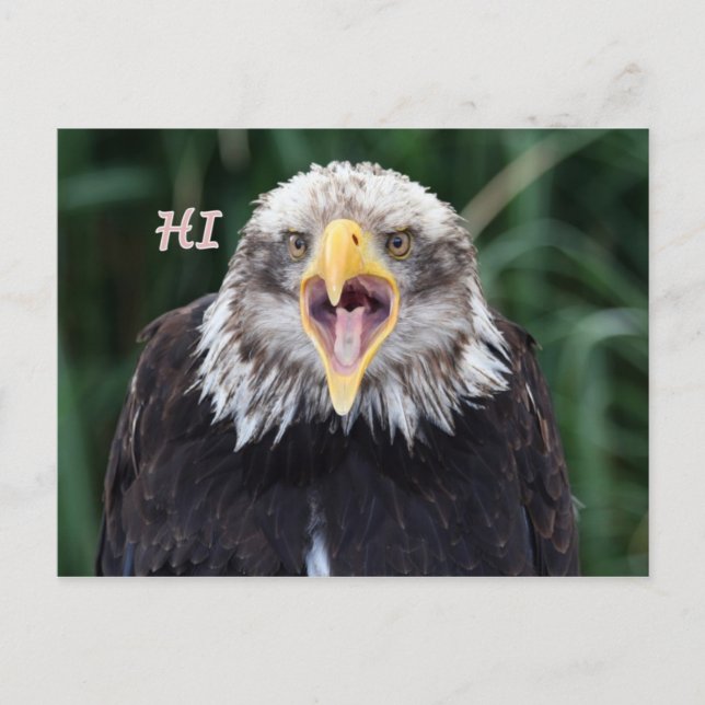 hi vykort (Framsida)