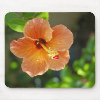 Hibiscis blomma Mousepad Musmatta