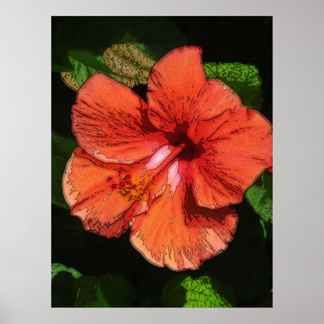 Hibiscus 424 tropiska röda blommor poster (Framsidan)