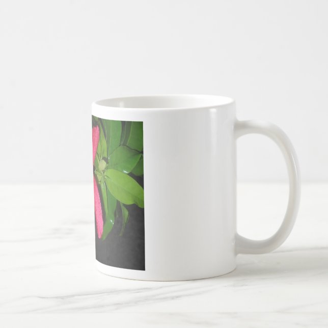 hibiscus à fleurs rouges kaffemugg (Höger)
