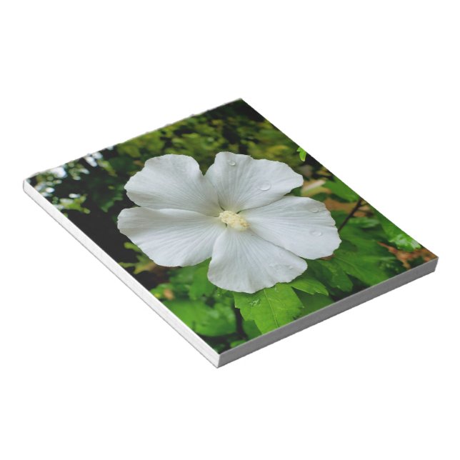 Hibiscus Anteckningsblock (Vinklad)