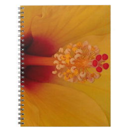 Hibiscus Anteckningsbok Med Spiral