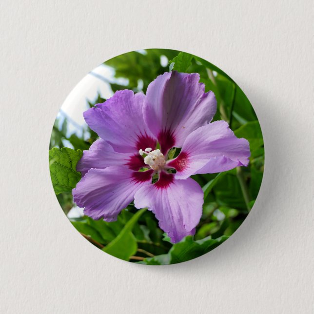 Hibiscus Badge Knapp (Framsida)