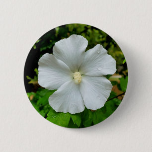 Hibiscus Badge Knapp