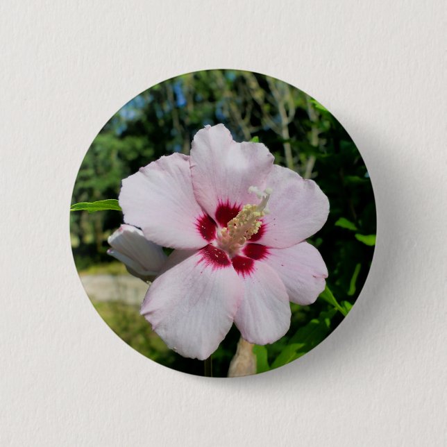 Hibiscus Badge Knapp (Framsida)