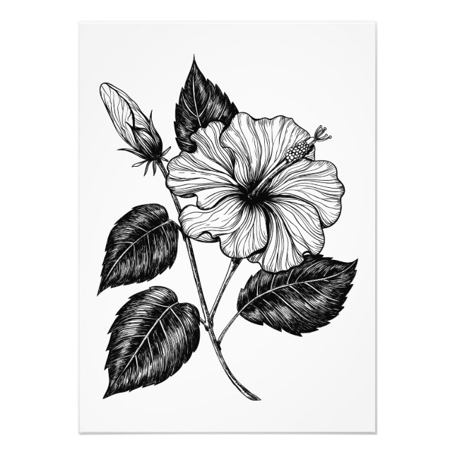 Hibiscus blomma II Fototryck (Framsidan)