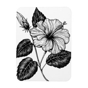 Hibiscus blomma II Magnet