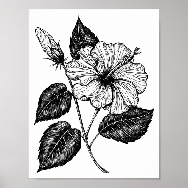 Hibiscus blomma II Poster (Framsidan)